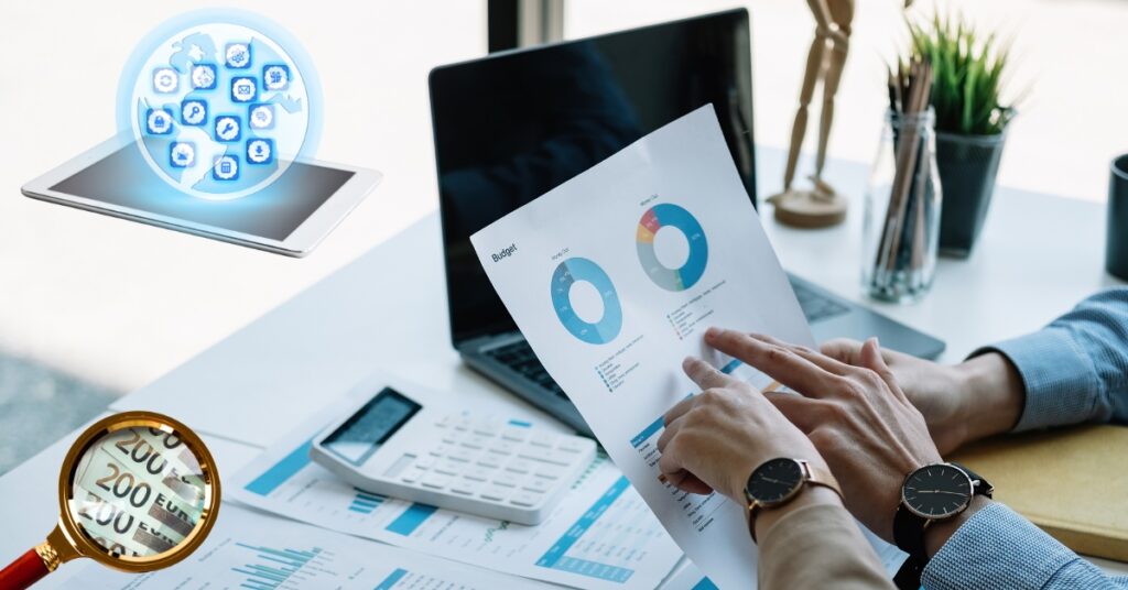 About the importance of accounting software